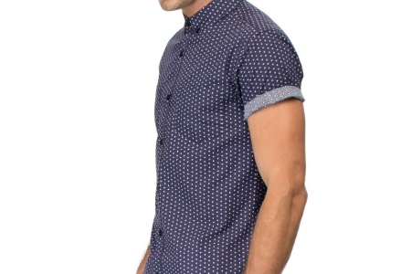 Mauris pulvinar orci eget