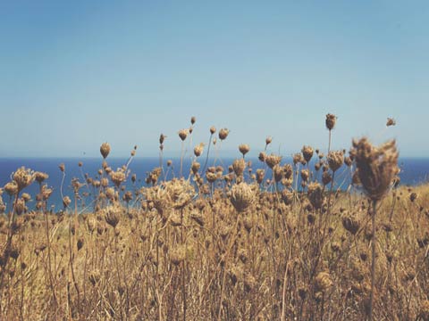 Normal <span>Bold</span>