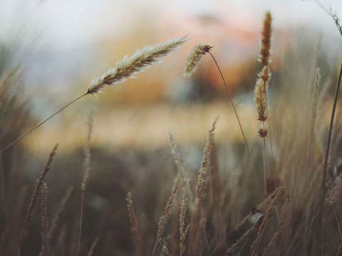 Normal <span>Bold</span>