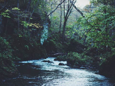 Normal <span>Bold</span>