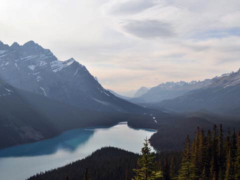 Normal <span>Bold</span>