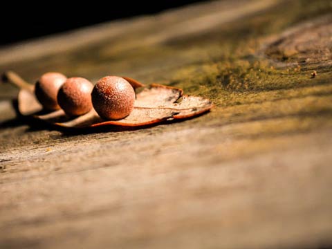 Normal <span>Bold</span>